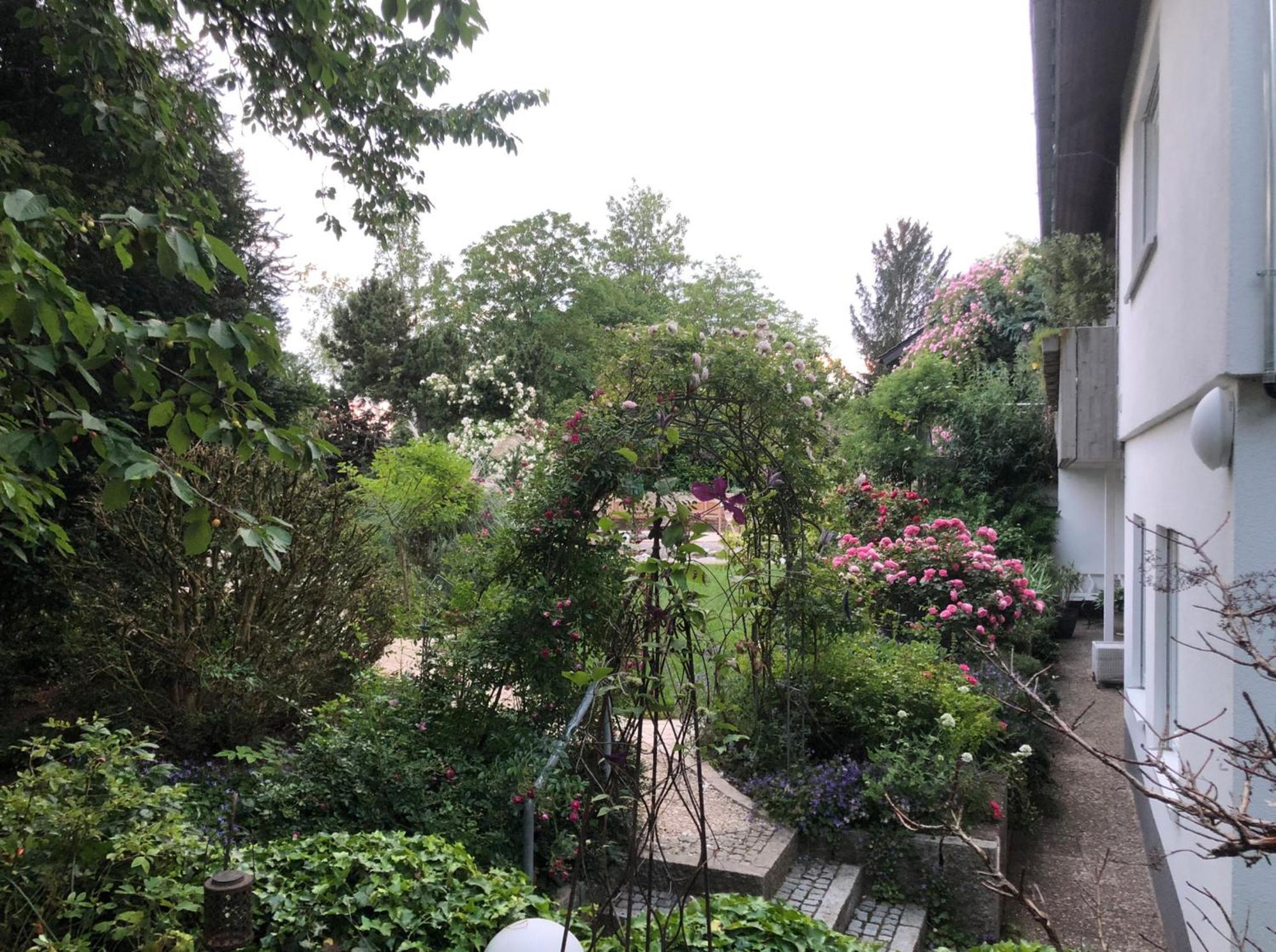 Secret Garden Mullheim (Baden-Wurttemberg) Exterior foto