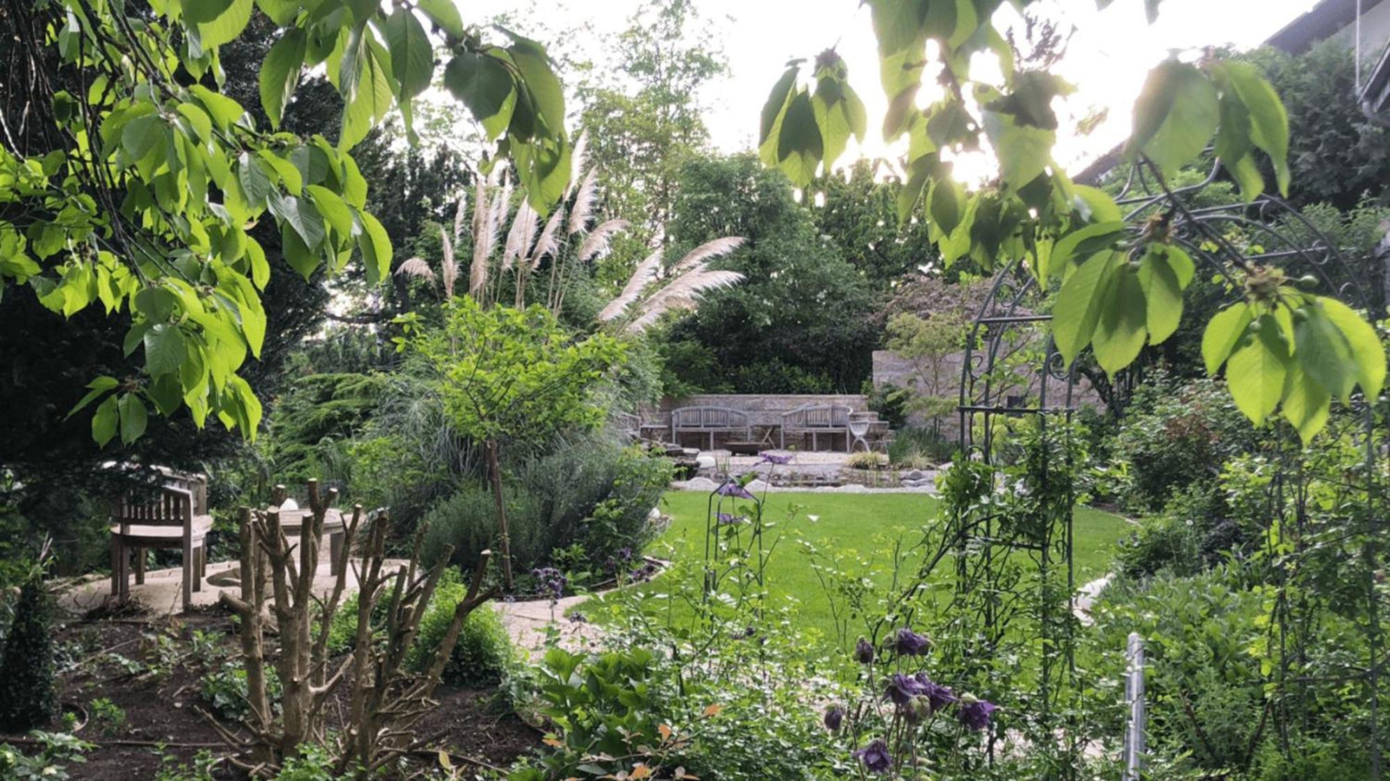 Secret Garden Mullheim (Baden-Wurttemberg) Exterior foto